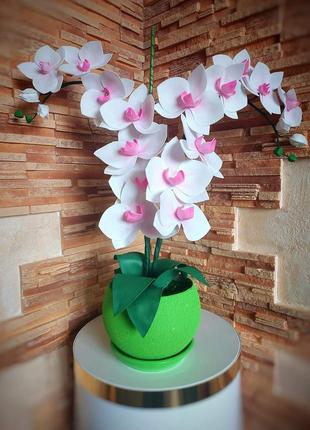 Світлодіодний світильник "орхідея фаленопсис"6 фото