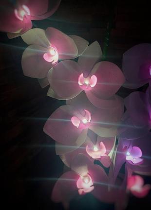 Світлодіодний світильник "орхідея фаленопсис"3 фото