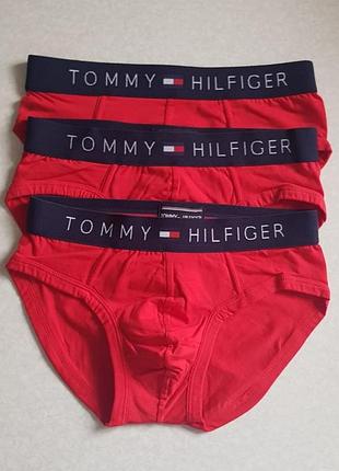 Трусы, брифы tommy hilfiger 2