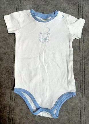 Боди, бодик