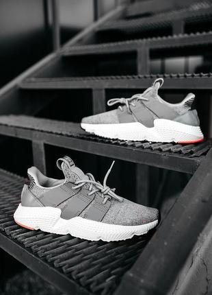 Adidas prophere, кросівки жіночі адідас