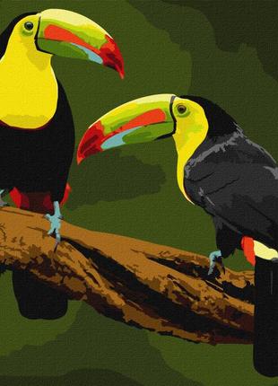 Картина по номерам "экзотические птицы" идейка kho4337 40х40см