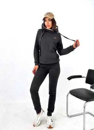 Костюм для прогулянок трьохнитка на флісі