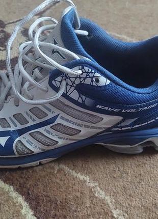 Mizuno wave voltage