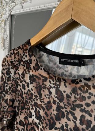 Топ в сеточку лео