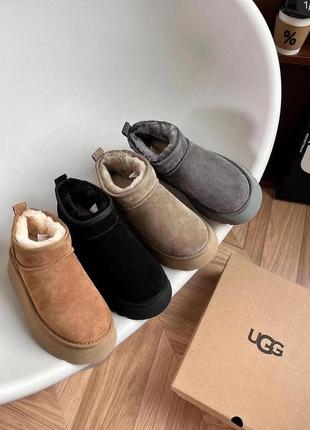 Угги ugg mini на платформе 4см1 фото