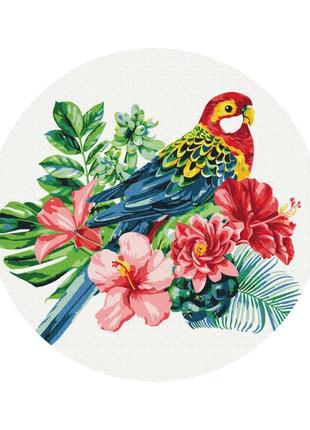 Попугай (розмір m)