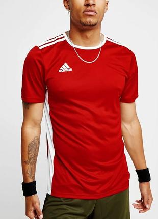 Спортивная футболка adidas l