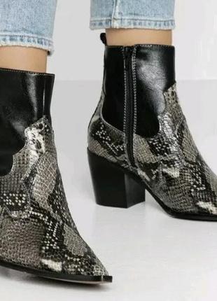 Top shop bliss snakeskin ladies black ankle boots взуття жіноче казакі казаки чобітки чоботи ботильйони принт змія зміїний принт7 фото