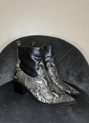 Top shop bliss snakeskin ladies black ankle boots взуття жіноче казакі казаки чобітки чоботи ботильйони принт змія зміїний принт