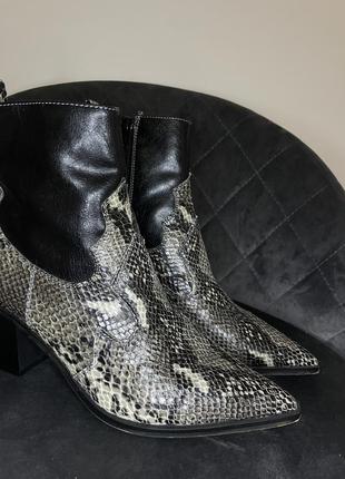 Top shop bliss snakeskin ladies black ankle boots взуття жіноче казакі казаки чобітки чоботи ботильйони принт змія зміїний принт3 фото