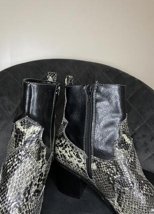 Top shop bliss snakeskin ladies black ankle boots взуття жіноче казакі казаки чобітки чоботи ботильйони принт змія зміїний принт4 фото