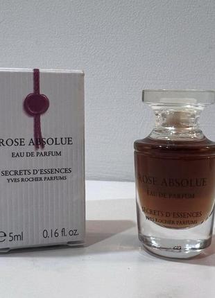 Rose absolue