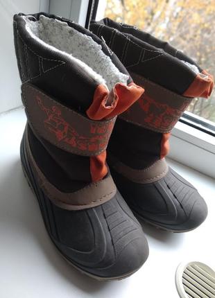 Сапожки freewalk размер 29