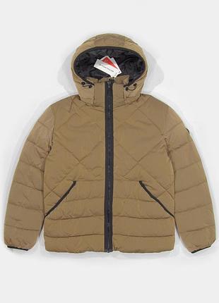 Мужская куртка tom tailor, sorona aura, стеганая, песочная