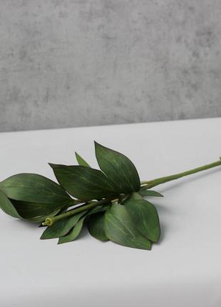Стебель для цветка пиона 74 см, для создания цветочных флористических композиций.1 фото