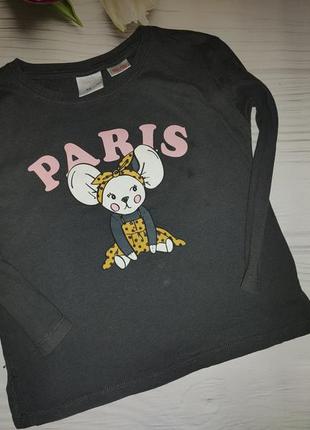 Реглан зара