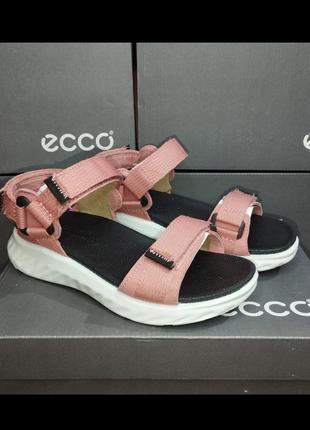 Босоніжки ecco sp.1 lite sandal k4 фото