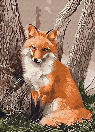 Картина по номерам лесная лисичка bs52398