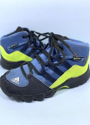 Кроссовки демисезонные adidas terrex