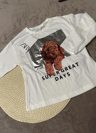 Zara котонові реглани з 3d принтом