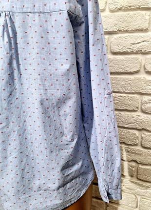 Блуза, блузка, рубашка, tom tailor, голубая, коттоновая, натуральная,6 фото