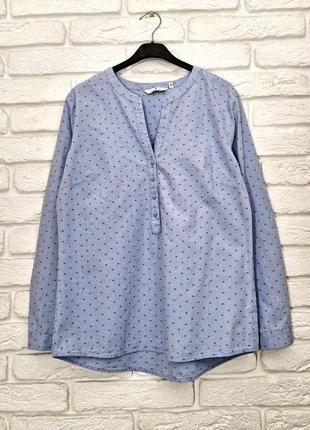 Блуза, блузка, рубашка, tom tailor, голубая, коттоновая, натуральная,7 фото