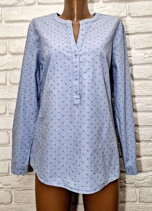 Блуза, блузка, рубашка, tom tailor, голубая, коттоновая, натуральная,5 фото