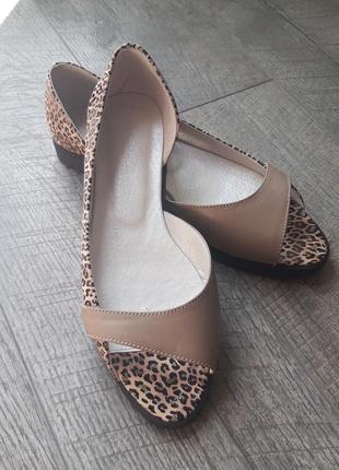 Бтсоножки жіночі.