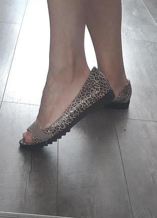 Бтсоножки жіночі.2 фото
