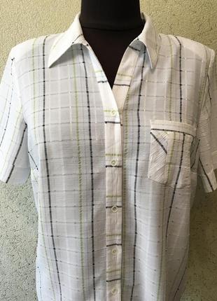 Белоснежная идеальная женская батальная рубашка/блуза/блузка с коротким рукавом батал6 фото