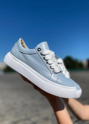 Кед  classic