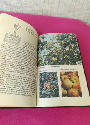 Книга книжка садово-огородный участок в. в. таранов  е. а. таранова4 фото