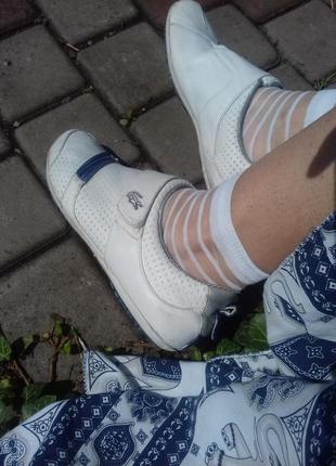 Жіночі білі шкіряні кросівки, кеди lacoste6 фото
