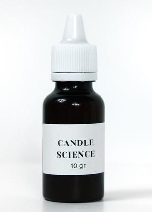 Аромат для свечи и мыла мятный мохито (candlescience mint mojito) 10 грамм