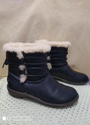 Кожаные ботинки ugg