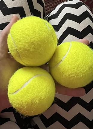 Теннисные мячи в тубе1 фото