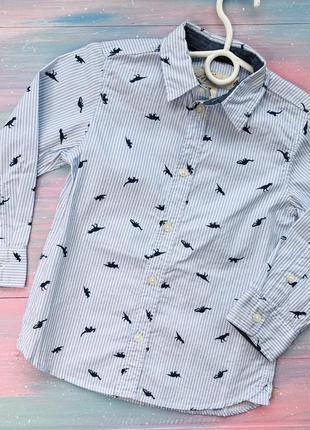 Рубашки для мальчиков