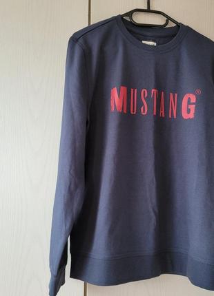 Чоловічий реглан mustang