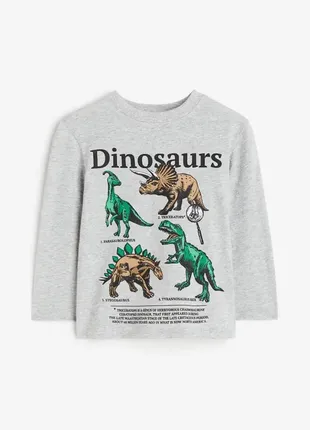 Дитячий лонгслів h&m