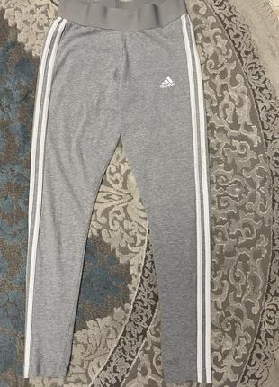Лосины adidas