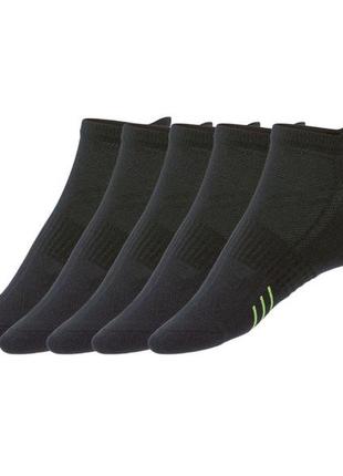 Чоловічі спортивні шкарпетки crivit1 фото