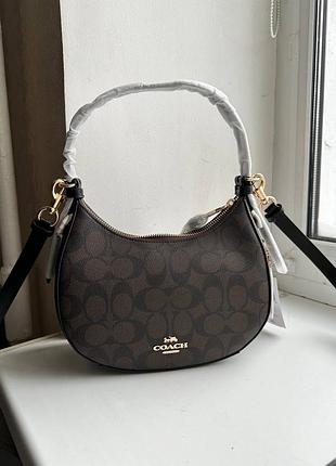 Сумка Borsetta Coach Cb Ltr Willow Tote C0691 B4 Chalk Multi