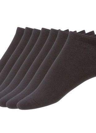 Чоловічі бавовняні шкарпетки livergy