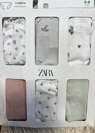 Труси zara 5-6