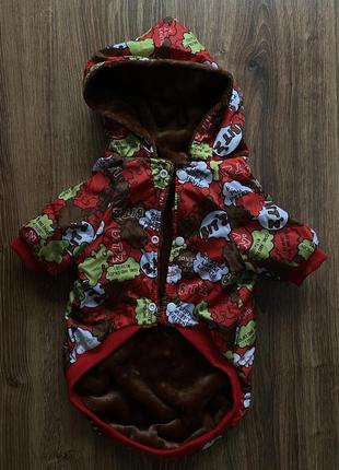 Яркая куртка для собак