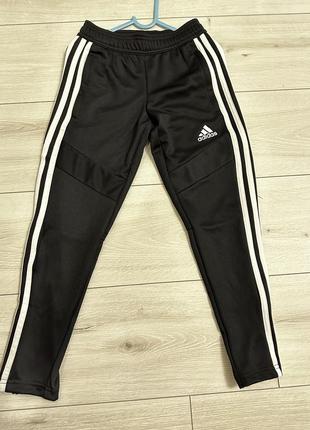 Спортивные штаны adidas1 фото