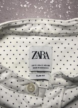 Zara slim fit shirt чоловіча сорочка зара рубашка у горошок4 фото