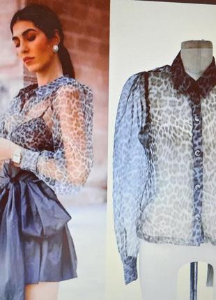 Буза zara