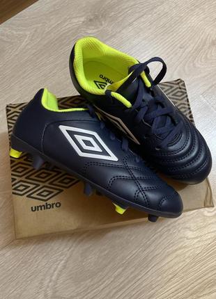 Буци umbro